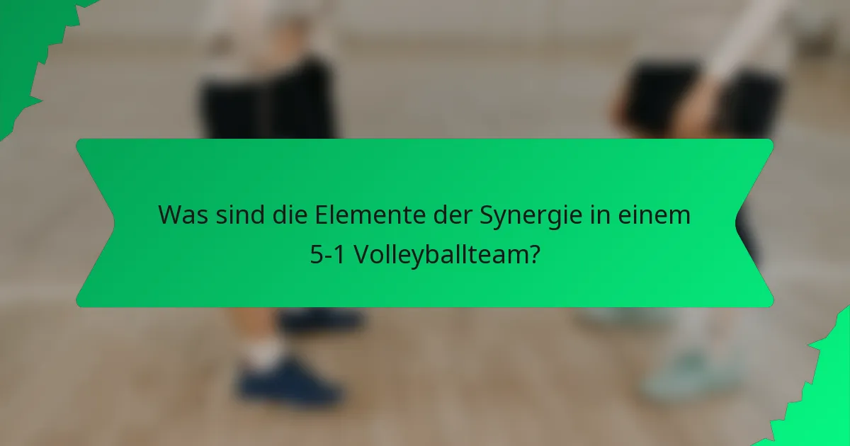 Was sind die Elemente der Synergie in einem 5-1 Volleyballteam?